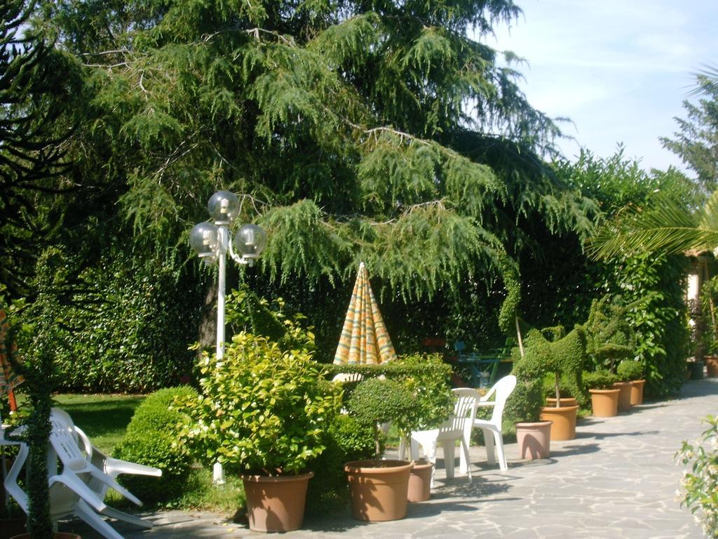 Forum Cassii Ветралла Экстерьер фото