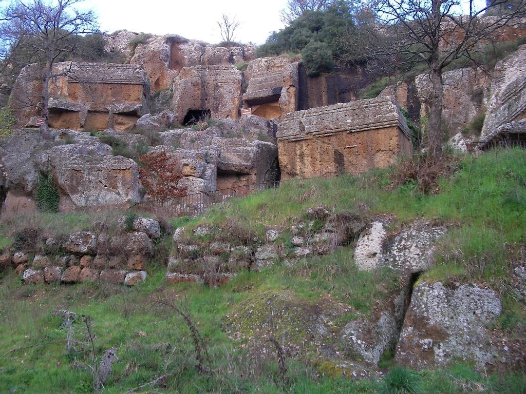 Forum Cassii Ветралла Экстерьер фото